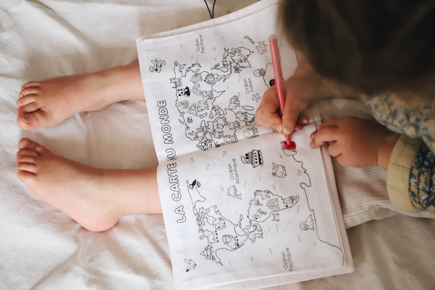 Cahier de coloriage lavable — Planisphère animaux | Loulou des Bois