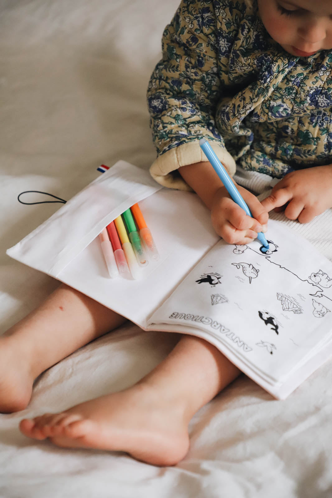 Cahier de coloriage lavable — Planisphère animaux | Loulou des Bois