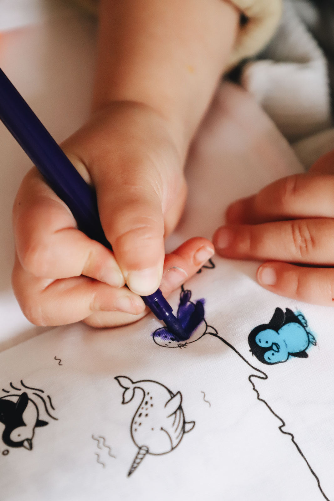 Cahier de coloriage lavable — Planisphère animaux | Loulou des Bois