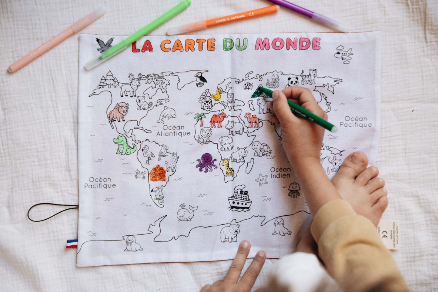 Set de table à colorier lavable —  Planisphère animaux | Loulou des Bois